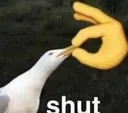 shut