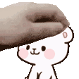 PetMilk
