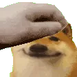 goodboyepet