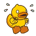 _duck