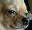 Cry