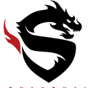 ShanghaiDragons