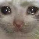 SadCat Discord Emoji