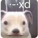 _xd