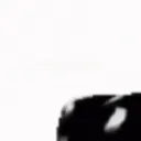 cow_1