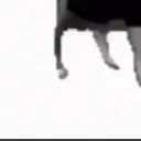 cow_3 cow_3