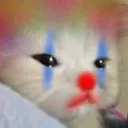 sad_clown_cat