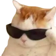 thuglife_fn