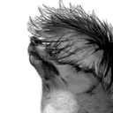 dogeki