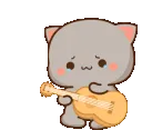 sadcat_guitar
