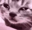 crycat