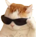 kote