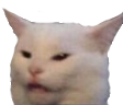 AGC_CatEy Discord emoji