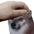 SadBoyePet