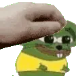 PETTHEMOUSE