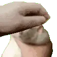 RatPetting2Fast