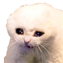 MemeCatCry