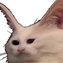 okRetard