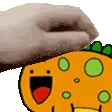 petstego petstego