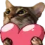 catHeart