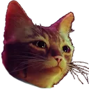 Cat Discord Emoji
