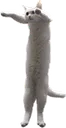 LongBoi