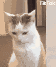 ch_ohshoot Discord emoji