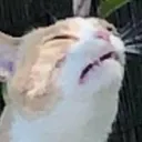 ch_fuckemtueday