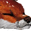 foxxosnow