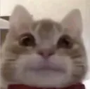 prettycringe