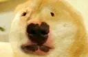 wagge