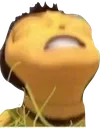 honeynuy