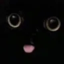 cat5bleepdark Discord Emoji