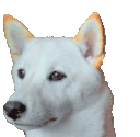 UDUwhatshappening