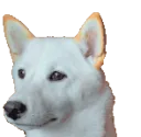 UDUwhatshappening