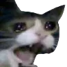 nya