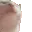 vibecat
