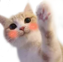 cat_wave01