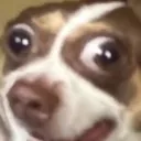 mr_bubz