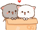 happy_cats Discord emoji