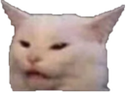 ts_catree Discord emoji
