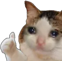 RWSadCatThumbsUp RWSadCatThumbsUp