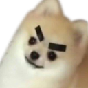 RWDogAngy Discord emoji