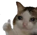 SadThumbsUp