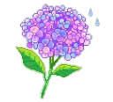 1flowerspurple