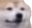 bruh