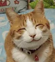 huhu