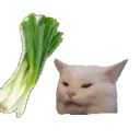 catleekBONK
