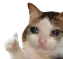 ThumbsUpCatSad Discord Emoji