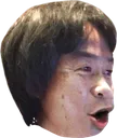 miyamotopog miyamotopog
